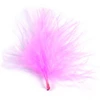 Image de Plumes Décoratives - Rose x 20