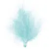 Image de Sachet De 20 Plumes Ciel