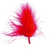 Image de Plumes Décoratives - Rouge x 20