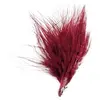 Image de Sachet De 20 Plumes Bordeaux