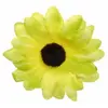 Image de Sachet de 24 Marguerites de TABLE, vert
