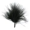 Image de Sachet de 20 plumes 7 cm, en Noir