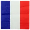 Image de Sachet de 20 serviettes collection France