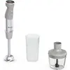 Image de Mixeur plongeant 1000w gris - Moulinex - DD672B10 -