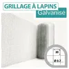 Image de Cloture&jardin - Grillage Soudé Galvanisé - Maille Carrée 20mm - Longueur 10m - 1 Mètre