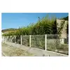 Image de Kit Grillage Rigide Blanc 50m - Jardimalin - Fil 4mm - Sur Platines - 1,53 Mètre