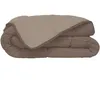 Image de Les Tendances - Hudson Couette Legere Microfibre 200g/m2 140x200cm Taupe + Lin