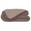 Image de Poyet-motte - Hudson Couette Legere Microfibre 200g/m2 220x240cm Taupe + Lin