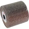 Image de Rouleau abrasif à lamelles, 19 mm, K 240, 100 mm