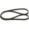 Image de Courroie Trapézoïdale À Nervures Bosch 1 987 946 075 Ford Usa 4359063 4451a062