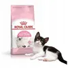 Image de Chaton Fhn 2 Kg