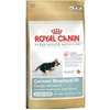 Image de Nourriture Que Nourriture Que Royal Canin Allemand Berger Chiot (junior) Chiots De Race De Berger Allemande (jusqu'  15 Mois) - 12 Kg
