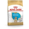 Image de Royal Canin Labrador Retriever Puppy 12kg