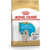Image de Royal Canin Bhn Golden Retriever Puppy 12Kg, 550751261
