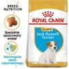 Image de Royal Canin Jack Russell Terrier Puppy nourriture sèche pour chiots jusqu'à 10 mois, race jack russell terrier 3kg