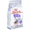 Image de Royal Canin - Ccn Mini Sterilized - Nourriture Sèche Pour Chien Adulte - 3kg
