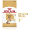 Image de Royal Canin Yorkshire Terrier Adult 8+ nourriture sèche pour les chiens âgés de la race