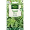 Image de Basilic Citron Vilmorin