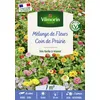 Image de Coin De Prairie - 7 M² - Mélange De Fleurs Vilmorin