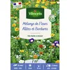 Image de Allées Et Bordures - 7 M² - Mélange De Fleurs Vilmorin