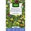 Image de Fleurs Terrain Sec - 50 M² - Mélange De Fleurs Vilmorin