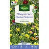 Image de Fleurs Résistantes Sécheresse - 25 M² - Mélange De Fleurs Vilmorin