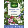 Image de Fleurs Parfumées - 7 M² - Mélange De Fleurs Vilmorin