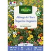 Image de Eloigne Les Doryphores - 7 M² - Mélange De Fleurs Vilmorin