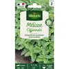 Image de Mélisse Officinale Vilmorin