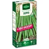 Image de Haricot Nain Vert Skipper + 20 G Offert Vilmorin
