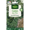 Image de Cumin Des Prés Vilmorin