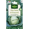 Image de Chou Blanc De Brunswick Vilmorin