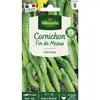 Image de Cornichon Fin De Meaux Vilmorin
