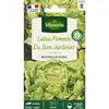 Image de Laitue Pommée Du Bon Jardinier Vilmorin