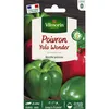 Image de Poivron Yolo Wonder Vilmorin