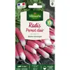 Image de Radis Pernot Clair Vilmorin
