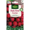 Image de Radis Rond Ecarlate Vilmorin