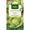 Image de Vilmorin   Laitue Pommée Appia   Graines De Potager   Exposition Mi-ombre   Semis De Mars À Juin   Récolte De Mai À Septembre