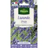 Image de Lavande Vraie Vilmorin