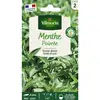 Image de Menthe Poivrée Vilmorin