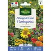 Image de Mélange Flamboyant - 10 M² - Mélange De Fleurs Vilmorin