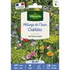 Image de Fleurs Oubliées - 10 M² - Mélange De Fleurs Vilmorin
