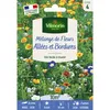 Image de Mélange Couvrant Allées Bordures - 10 M² - Mélange De Fleurs Vilmorin