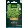 Image de Basilic Pistou - Graines D'Exception Vilmorin