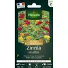 Image de Vilmorin - Zinnia Graffiti