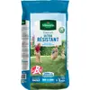 Image de Gazon ultra résistant VILMORIN, 5 kg, 200 m²
