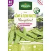 Image de Pois Mangetout Géant À Fleur Violette - 10 M Vilmorin