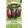 Image de Betterave Potagère Cylindra - Bio Vilmorin