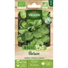 Image de Mâche Baron - Bio Vilmorin