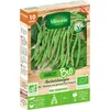 Image de Haricot Grimpant Vert Neckarkönigin - 10 M - Bio Vilmorin